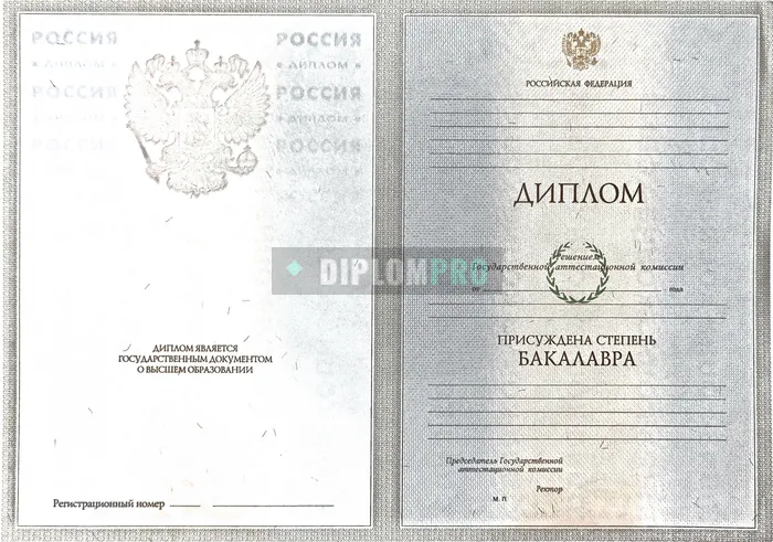 Диплом бакалавра с 2004 по 2008 годы