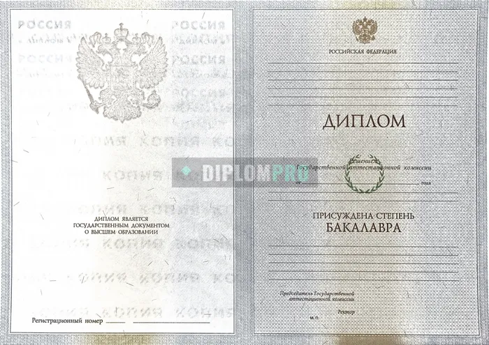 Диплом бакалавра с 2009 по 2011 годы