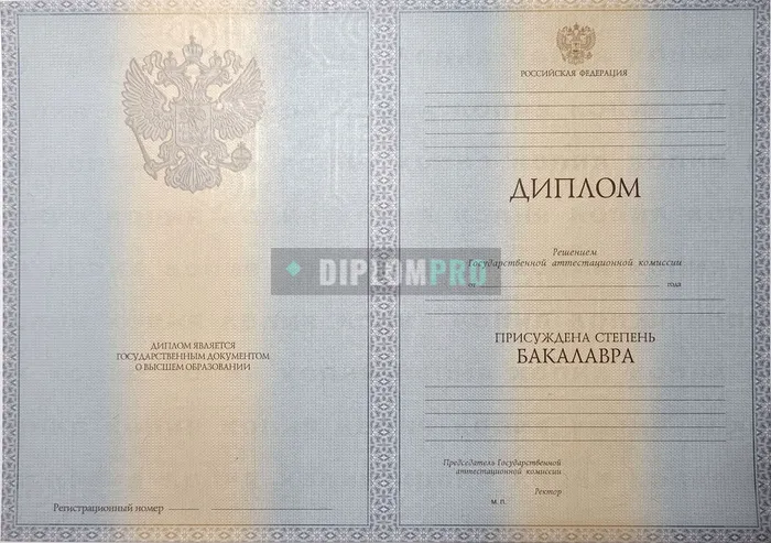 Диплом бакалавра с 2012 по 2013 годы
