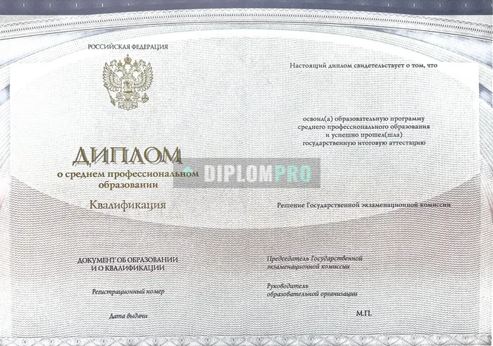 Диплом колледжа с 2014 по 2022 годы