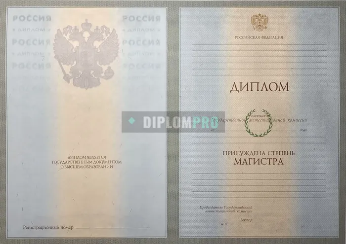 Диплом магистра с 2004 по 2008 годы