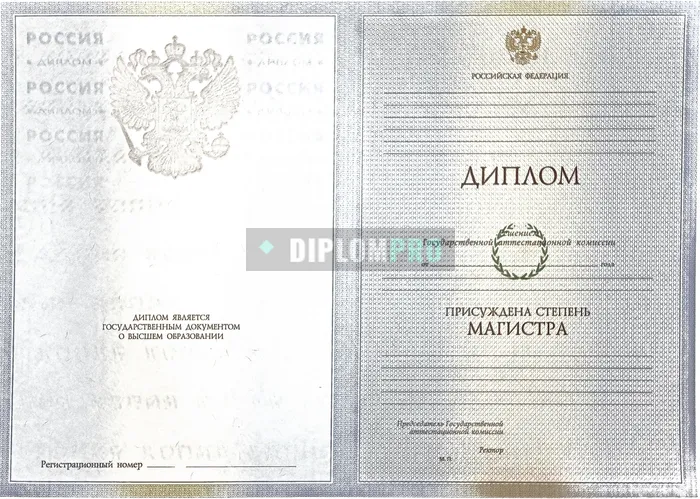 Диплом магистра с 2009 по 2011 годы
