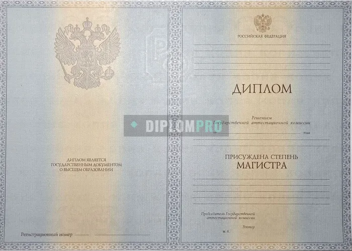 Диплом магистра с 2012 по 2013 годы