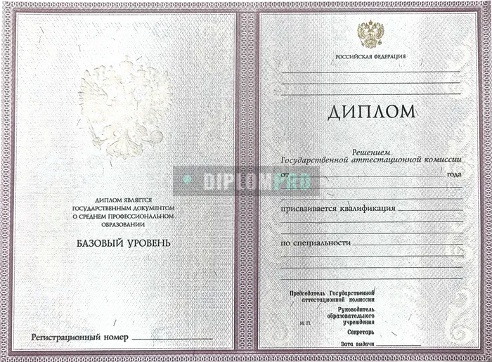 Диплом о среднем образовании с 2004 по 2007 годы