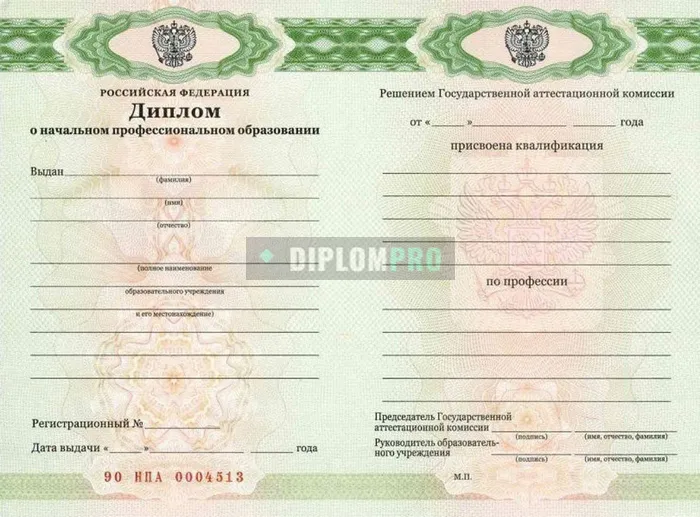 Диплом ПТУ с 2011 по 2026 годы