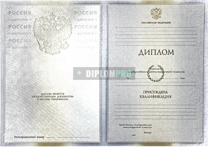 Диплом специалиста с 2009 по 2011 годы