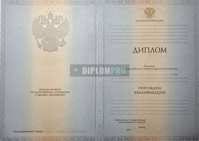 Диплом специалиста с 2012 по 2013 годы